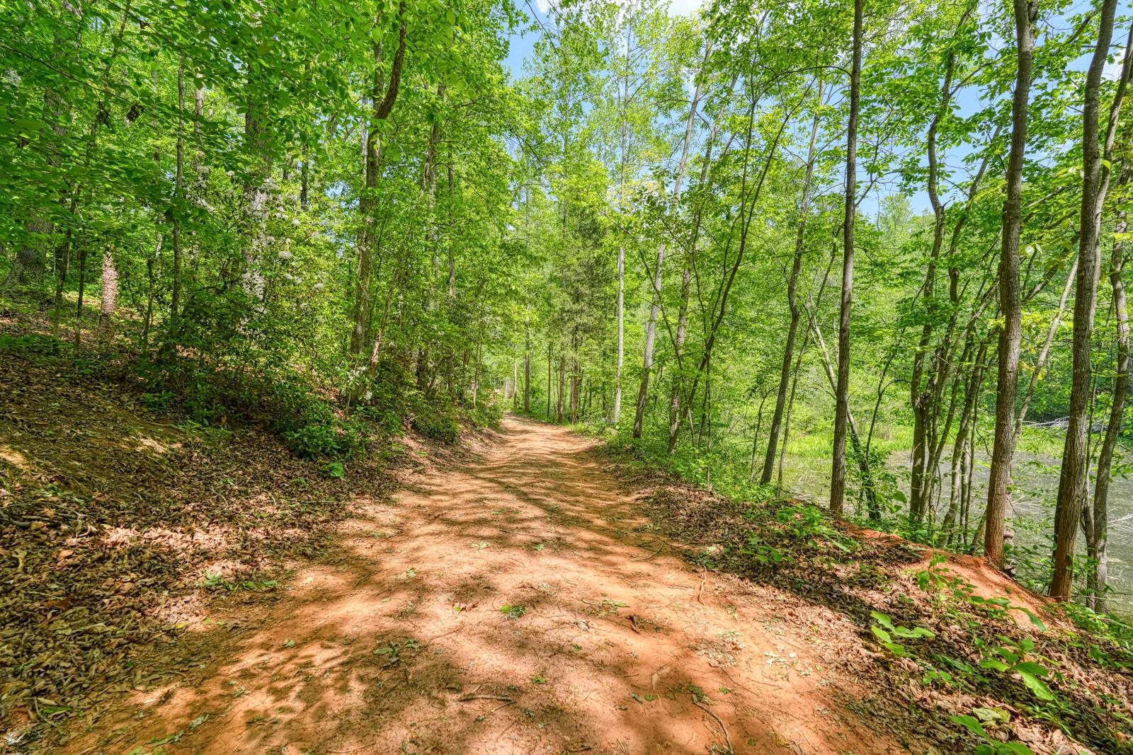 0 Motlow Creek Road Campobello, SC 29322 - Photo 4 of 12