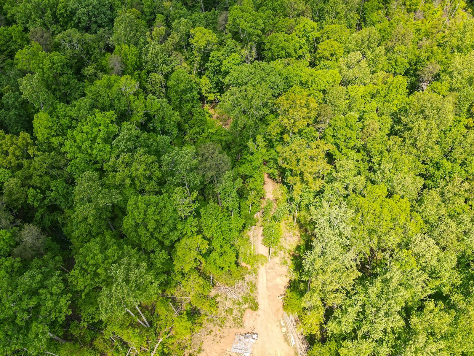 0 Motlow Creek Road Campobello, SC 29322 - Photo 8 of 12