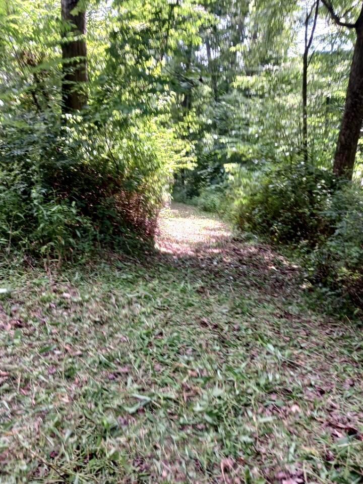 20036 Culp Road Logan, OH 43138 - Photo 35 of 39 IMG_20230722_162736