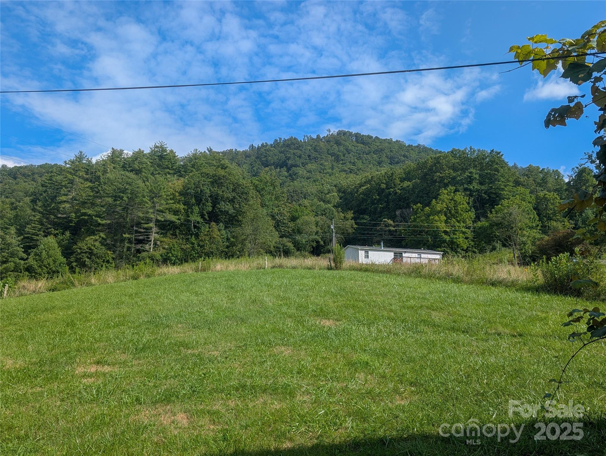 540 Pound Mill Branch Road Burnsville, NC 28714 - Photo 16 of 43