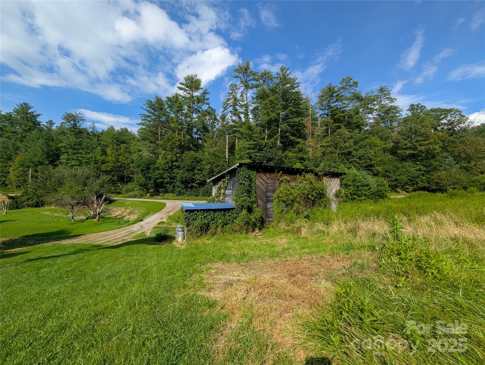 540 Pound Mill Branch Road Burnsville, NC 28714 - Photo 18 of 43 a view of a lake with a park