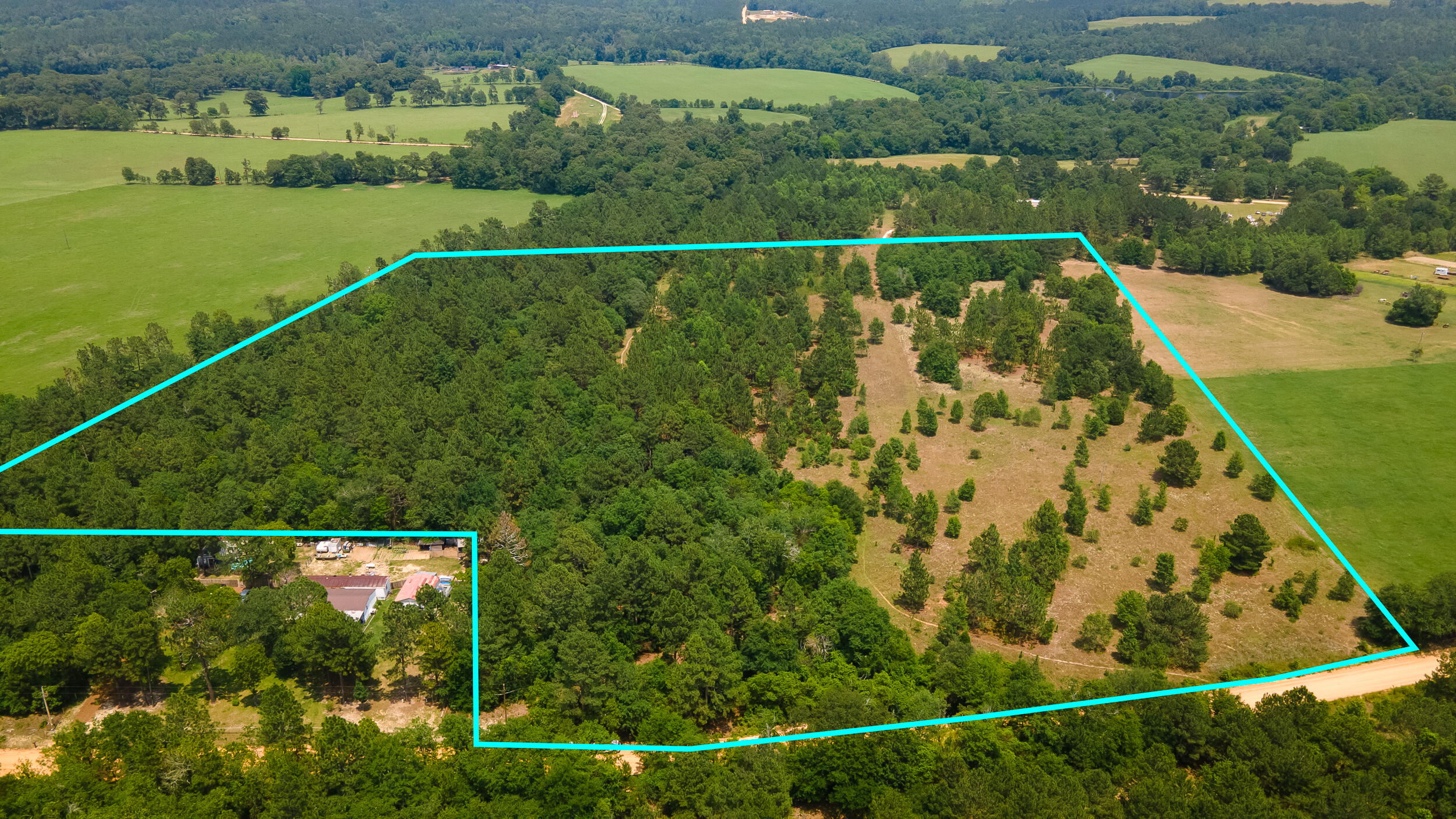 0 Kennedy Pond Road Wagener, SC 29164 - Photo 1 of 5 MEGHANNPADGETT_KennedyPondRd-15