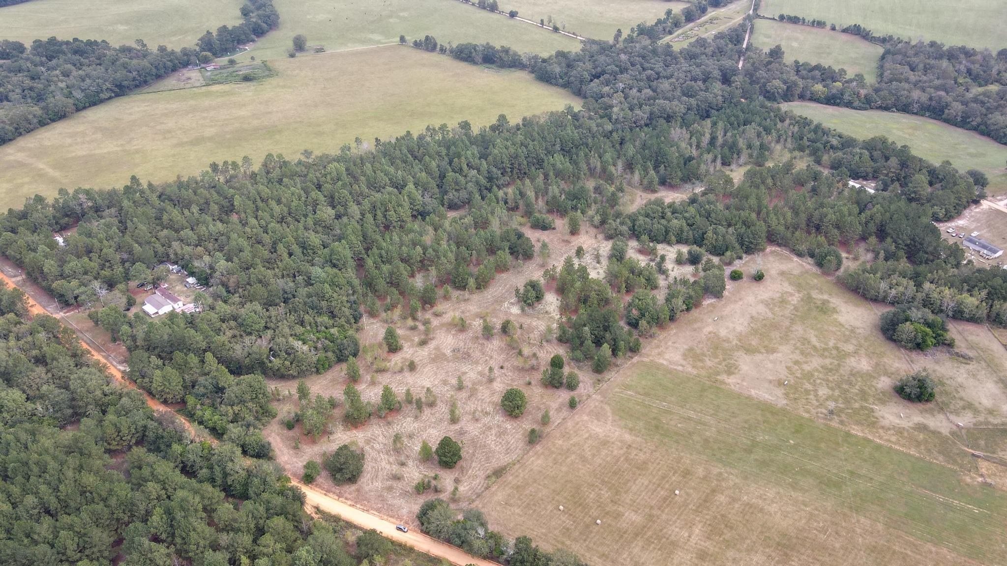 0 Kennedy Pond Road Wagener, SC 29164 - Photo 4 of 5 dji_fly_20240916_105512_920_172649855833