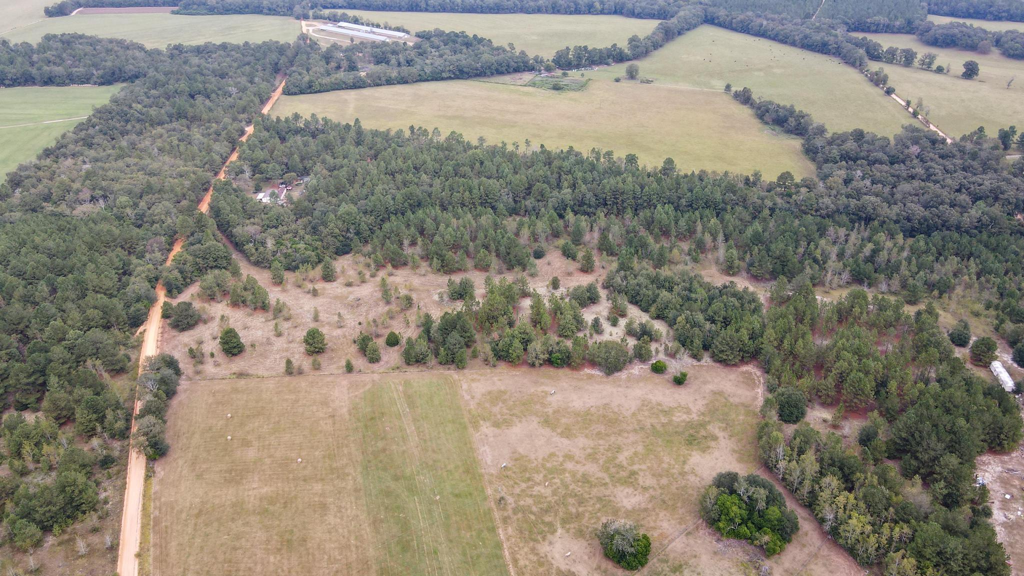 0 Kennedy Pond Road Wagener, SC 29164 - Photo 5 of 5 dji_fly_20240916_105952_922_172649880775