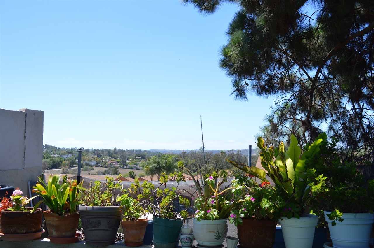 225 Hollenbeck Road San Marcos, CA 92069 - Photo 3 of 16 Gallery Image 3