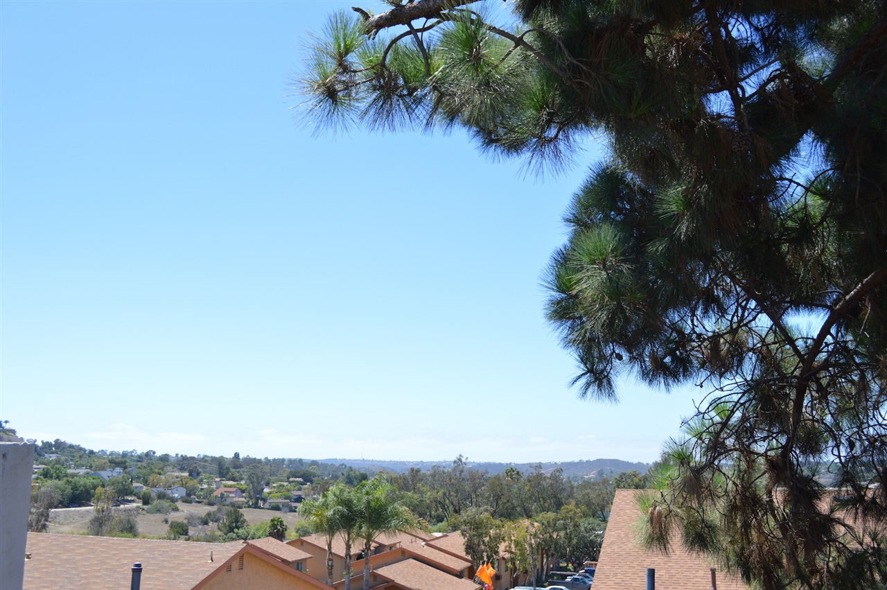 225 Hollenbeck Road San Marcos, CA 92069 - Photo 4 of 16 Gallery Image 4