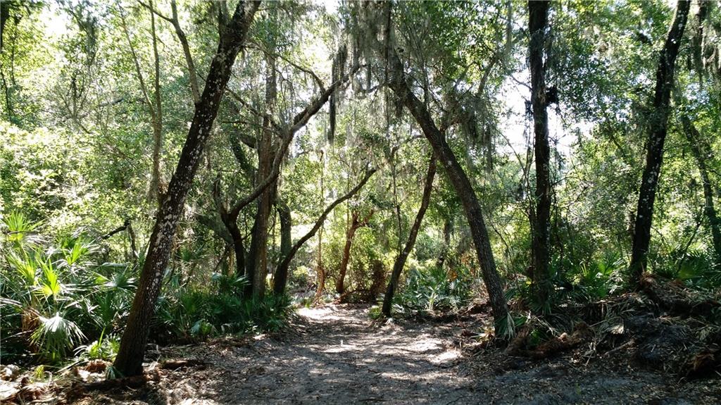 Tba North Hart Road Geneva, FL 32732 - Photo 1 of 1 Gallery Image 1