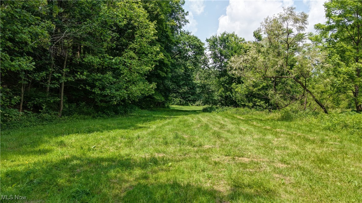 View of yard with a view of trees