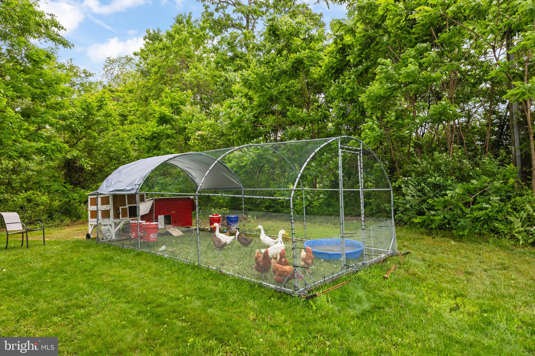 162 Bunchberry Ridge Court Stephens City, VA 22655 - Photo 64 of 71 Gallery Image 64