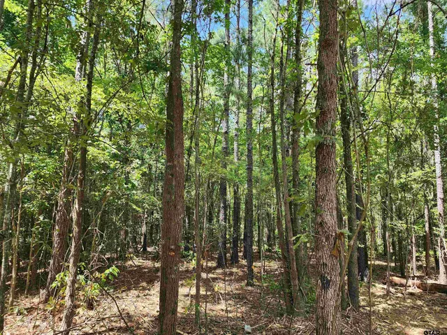 a view of outdoor space and garden