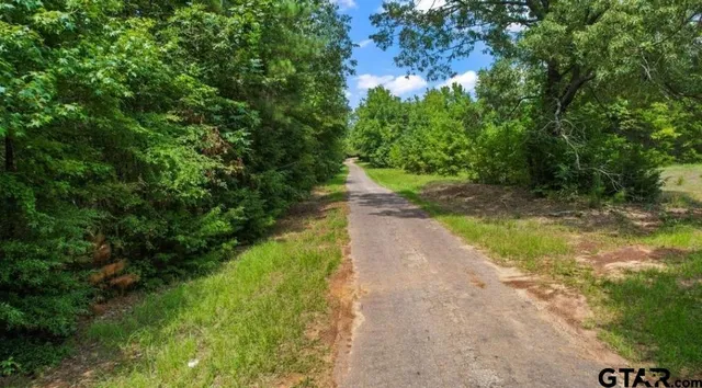 a view of a pathway of a park