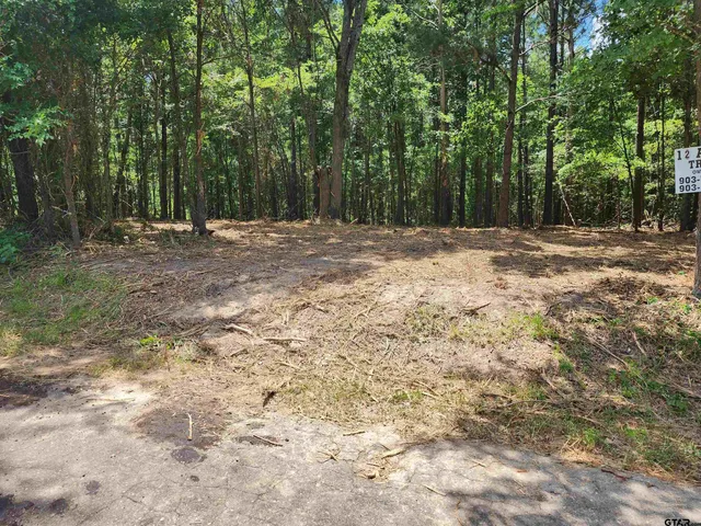a view of outdoor space with trees