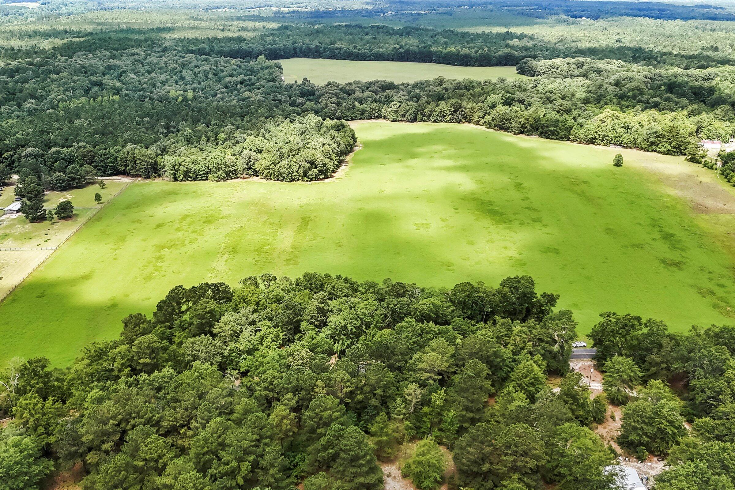 Lot 2 Mt Beulah Road Windsor, SC 29856 - Photo 3 of 15