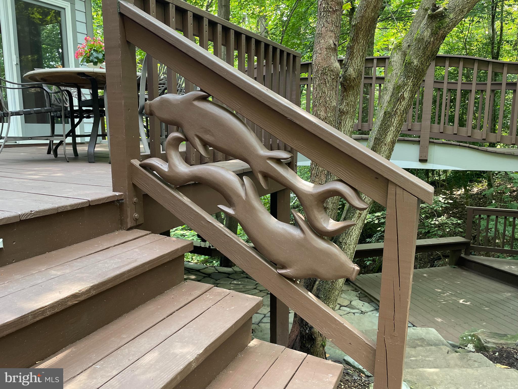 2319 Hickory Road Annapolis, MD 21401 - Photo 13 of 68 Swimming koi fish