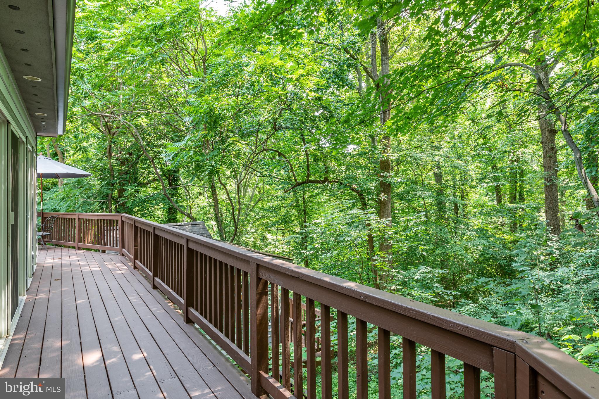 2319 Hickory Road Annapolis, MD 21401 - Photo 45 of 68 Enjoy nature from the wrap around deck