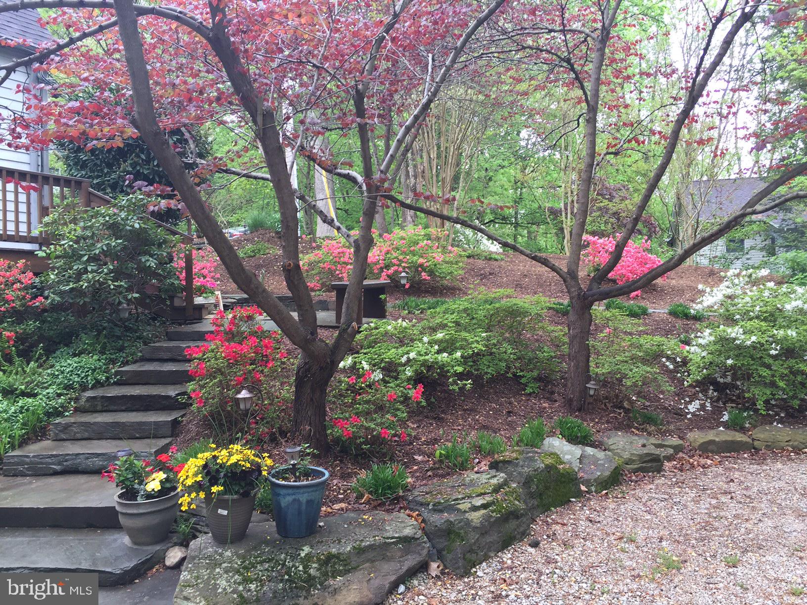 2319 Hickory Road Annapolis, MD 21401 - Photo 57 of 68