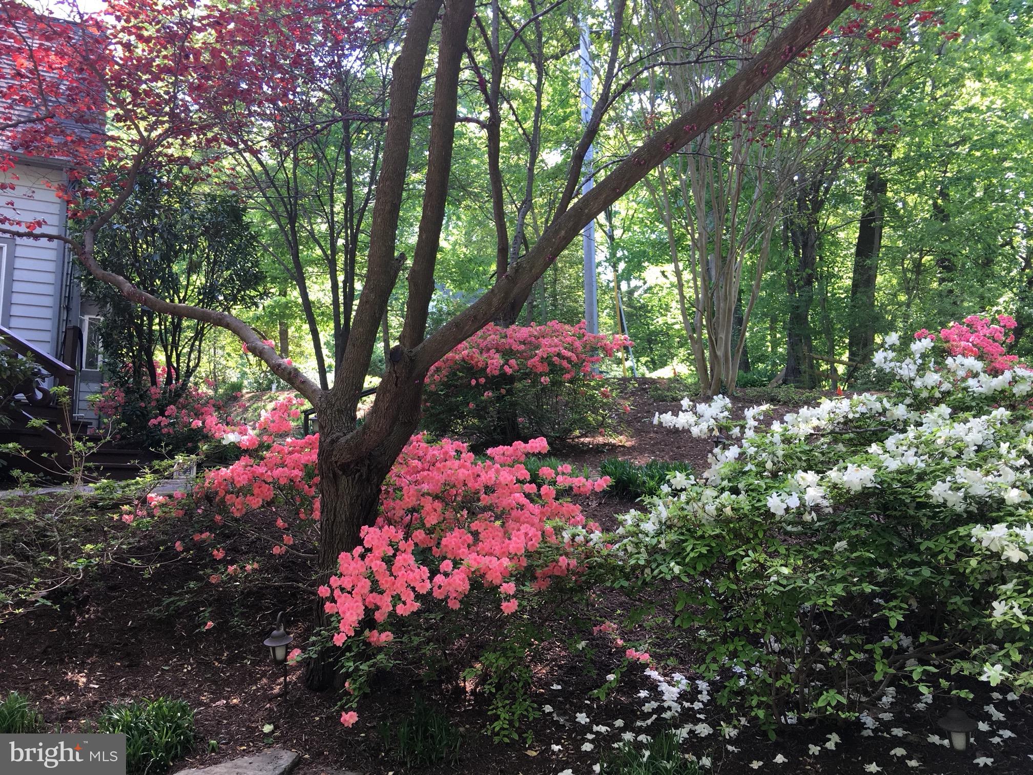 2319 Hickory Road Annapolis, MD 21401 - Photo 58 of 68