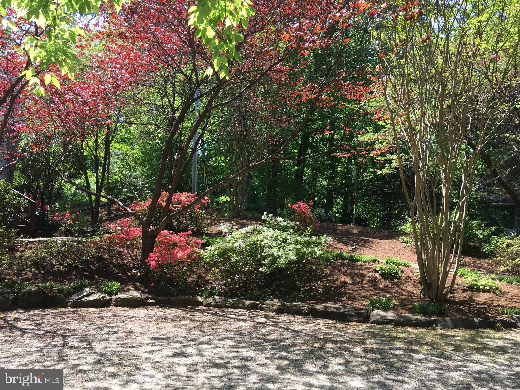 2319 Hickory Road Annapolis, MD 21401 - Photo 60 of 68