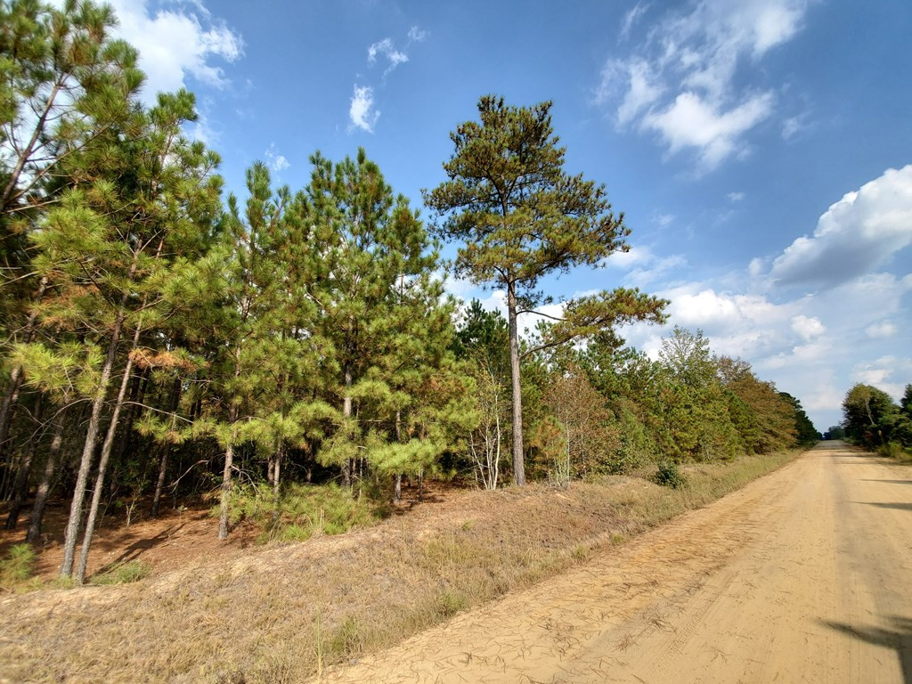 32 Pollett Road Bartow, GA 30413 - Photo 2 of 3