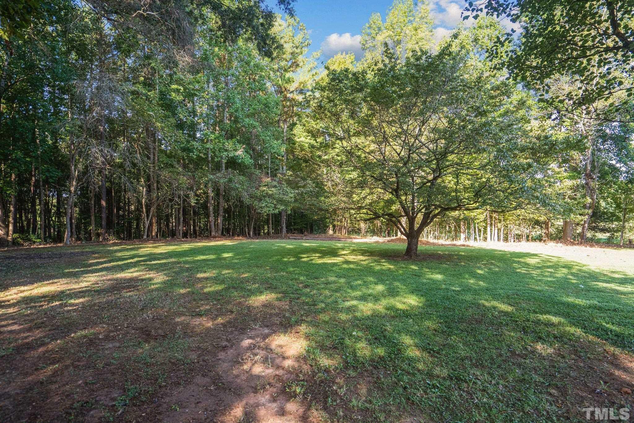 3645 Hicksboro Road Henderson, NC 27537 - Photo 32 of 37 a view of backyard with large trees