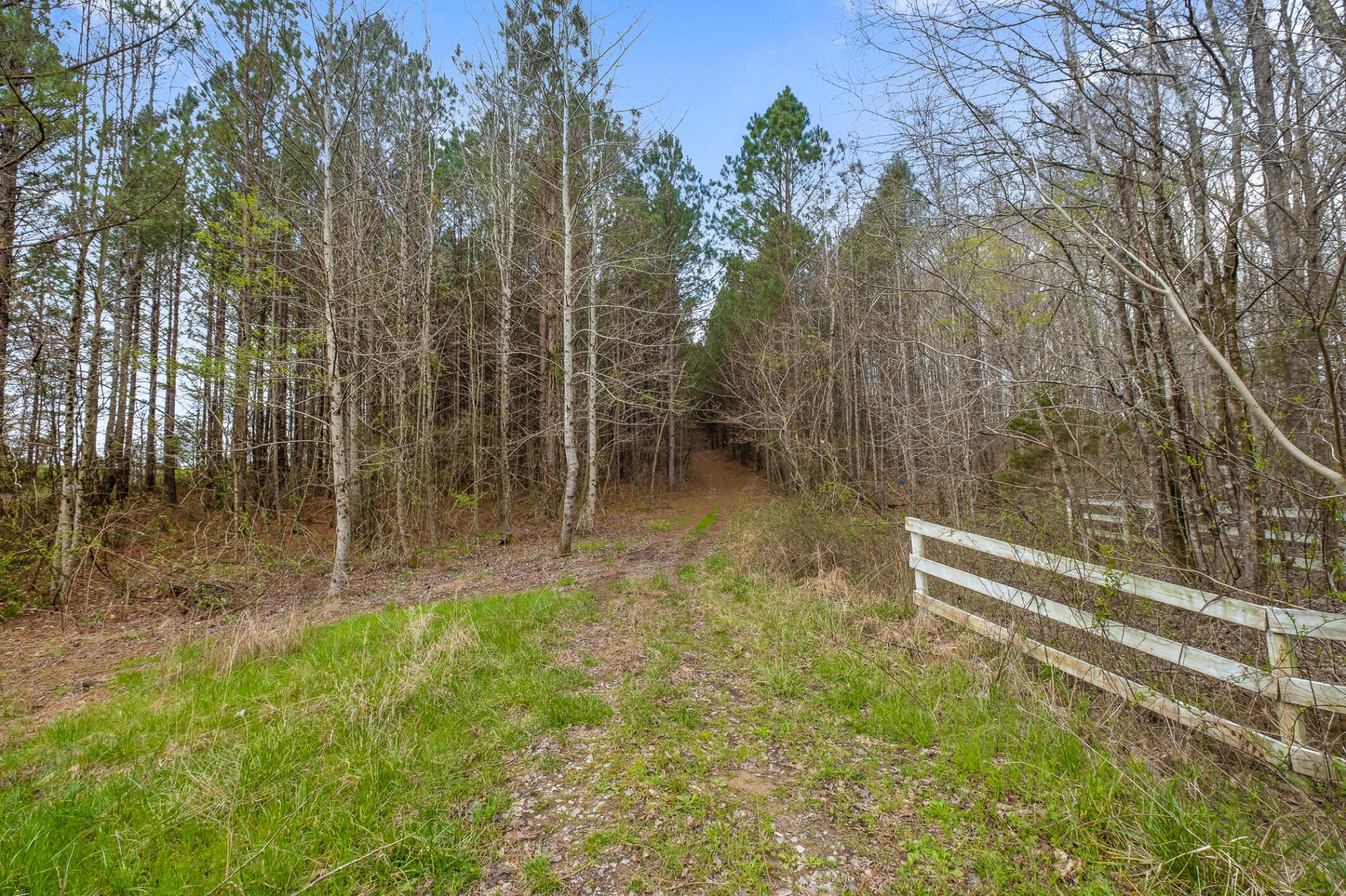 2041 Plank Road Decatur, TN 37322 - Photo 29 of 36 Gallery Image 29