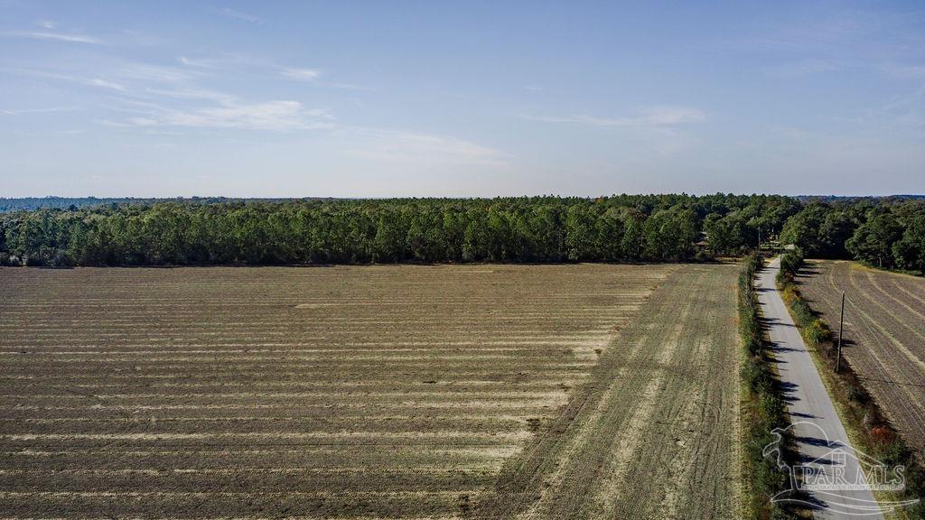 11 Segrest Road Pace, FL 32571 - Photo 3 of 4
