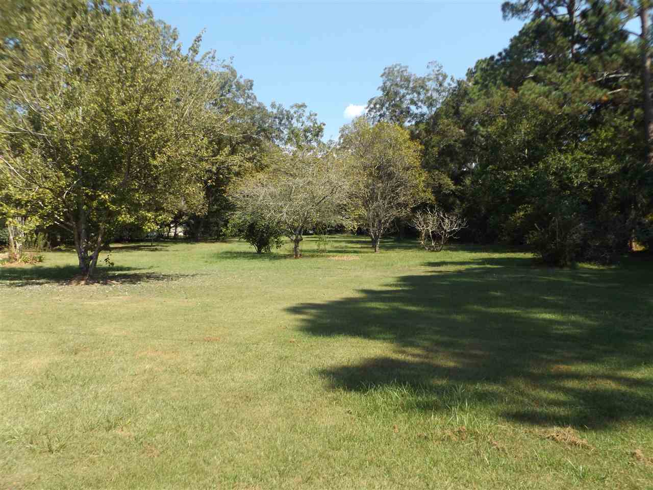 12340 County Road 65 Foley, AL 36535 - Photo 6 of 23