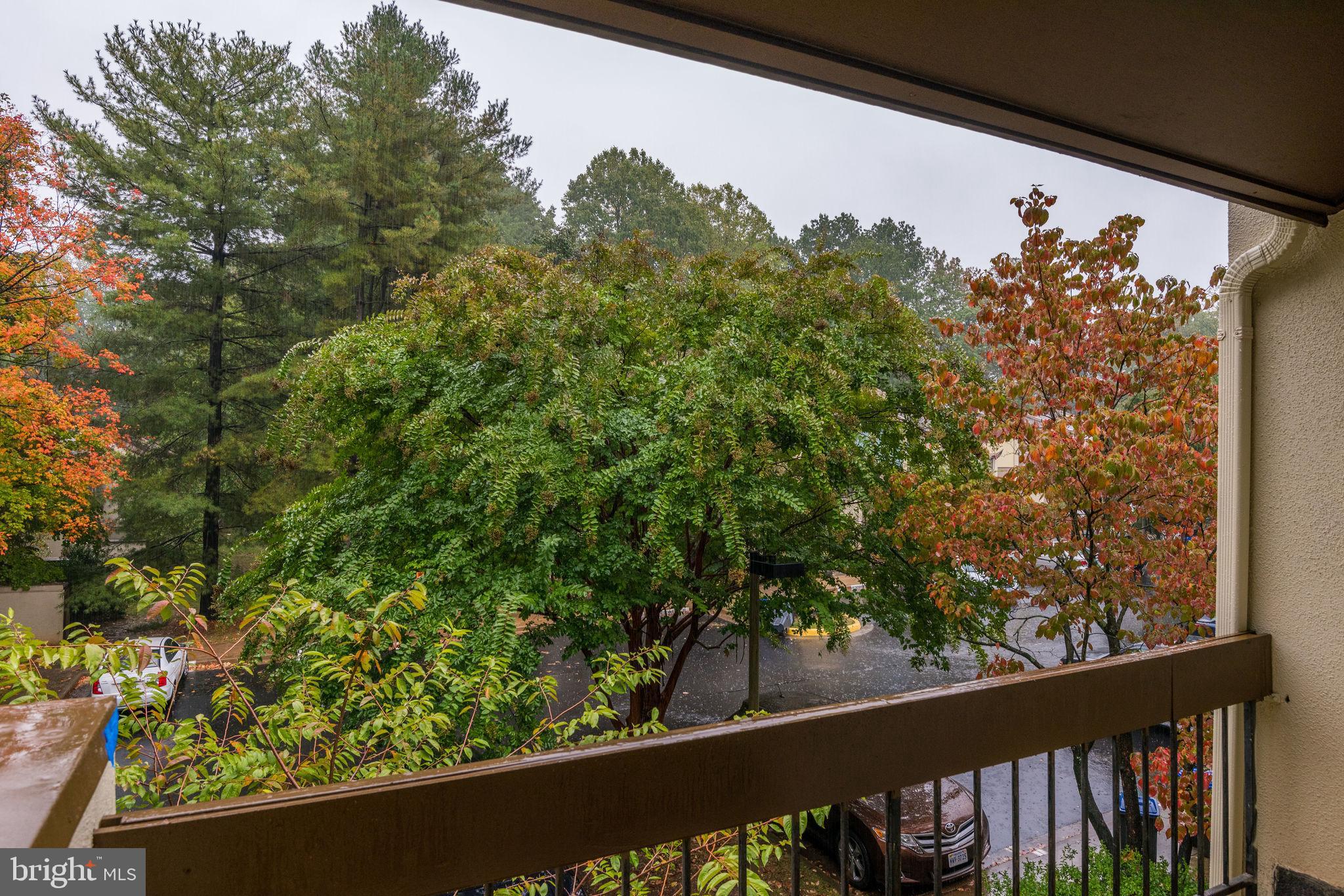 11689 Newbridge Court Reston, VA 20191 - Photo 21 of 42 Gallery Image 21