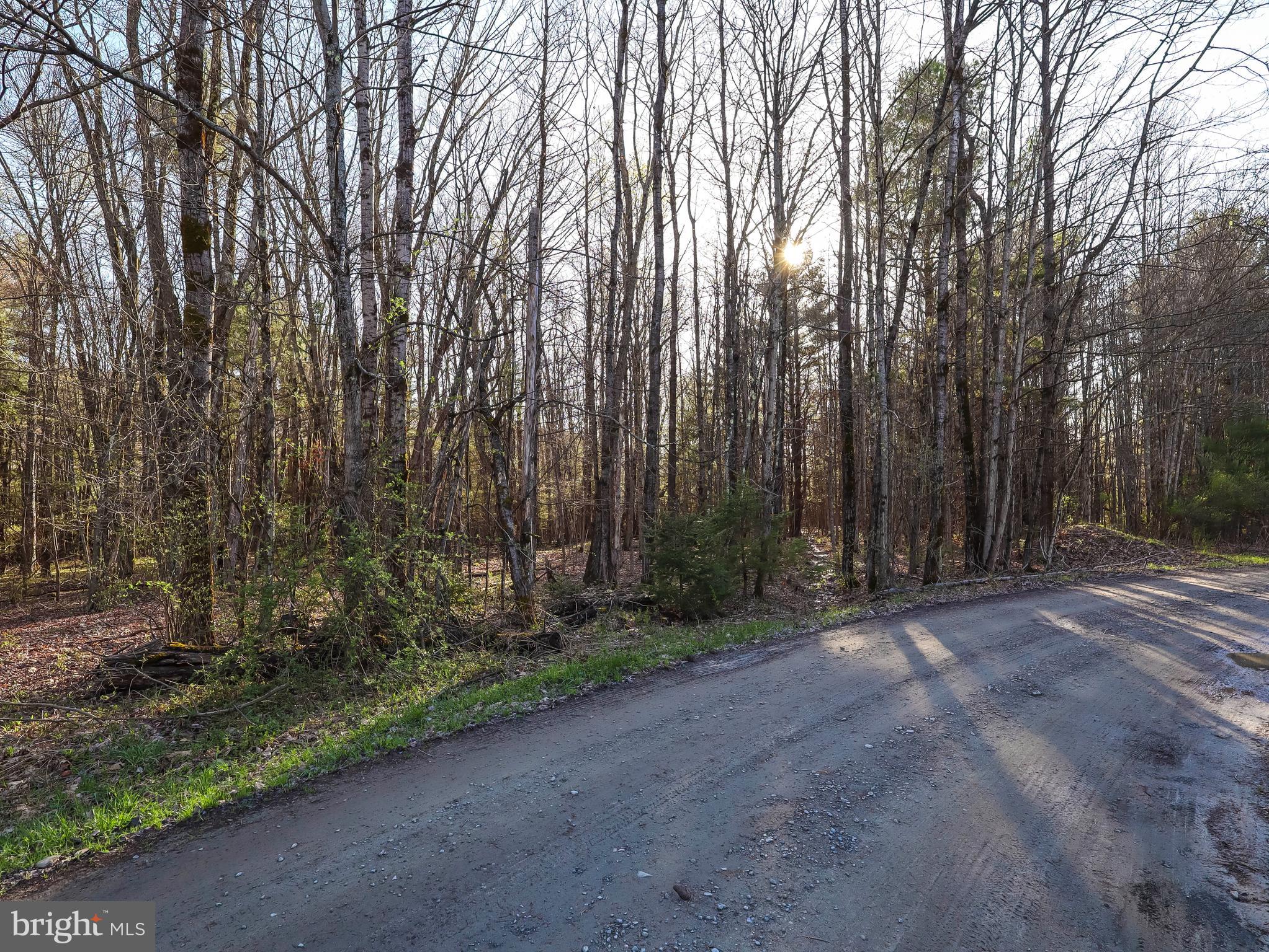0 Twin Lakes Road Brackney, PA 18812 - Photo 3 of 43