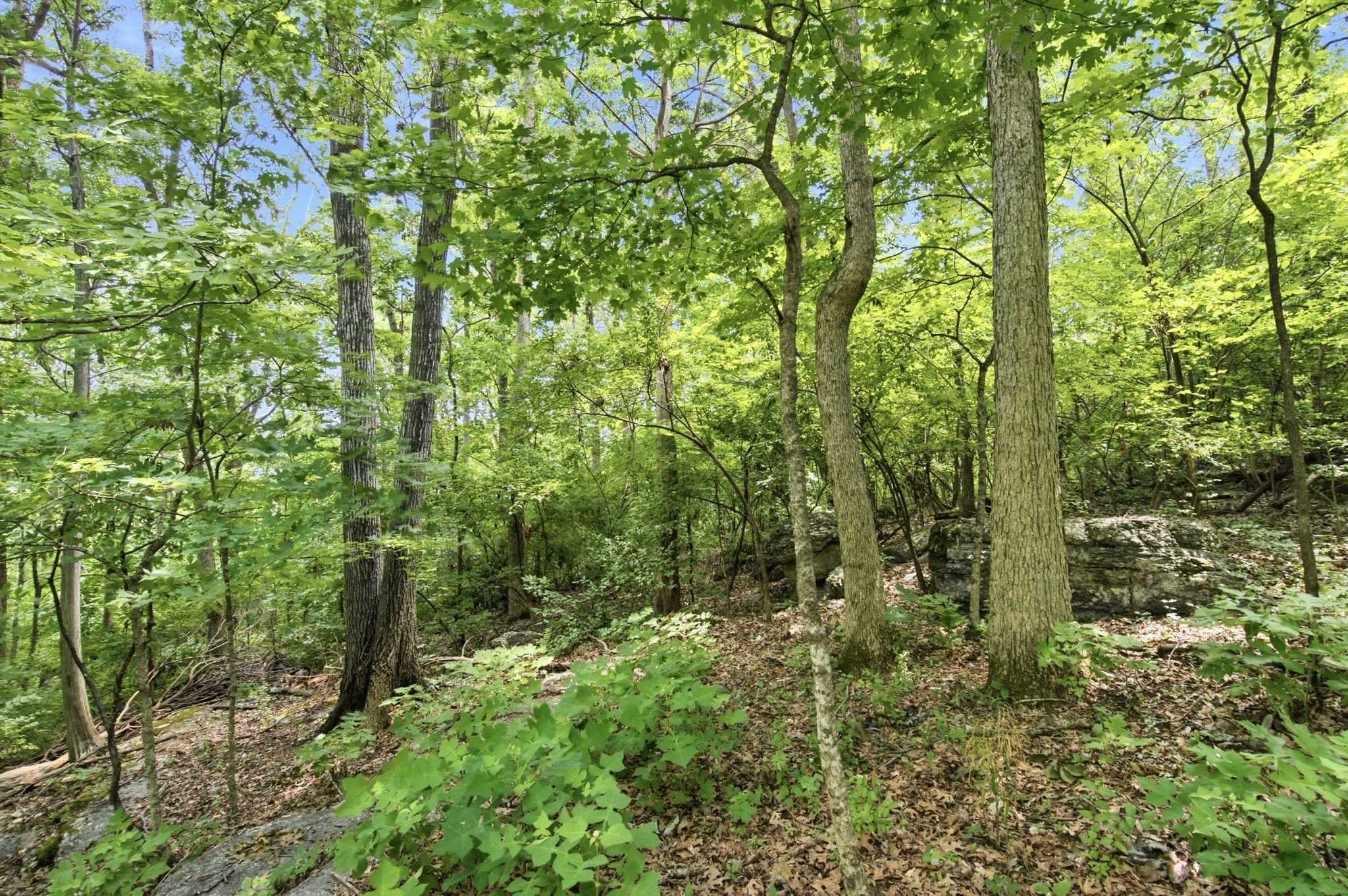 2324 Rader Ridge Road Antioch, TN 37013 - Photo 32 of 32
