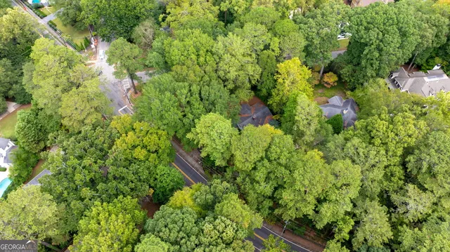 an outdoor view of garden