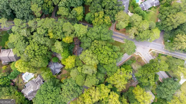 a view of a garden with plants