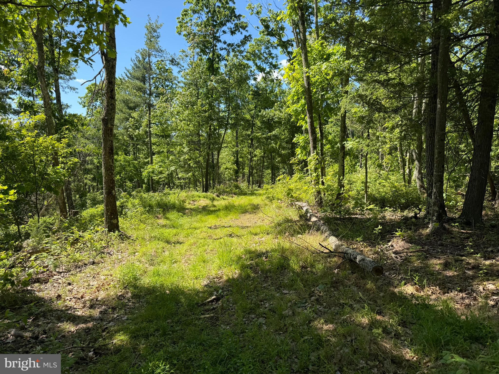 580 Fairview Road Howard, PA 16841 - Photo 51 of 100 a view of outdoor space and trees