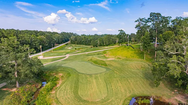 a view of a swimming pool with a yard