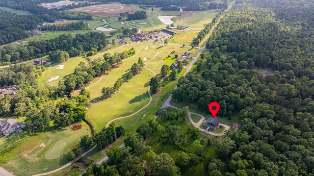 a view of a tree in a garden