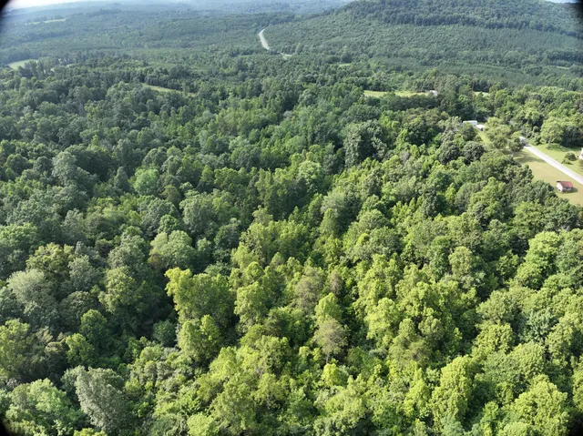 an aerial view of residential house with outdoor space and trees all around
