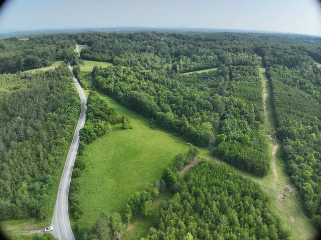 a view of a green yard with large trees
