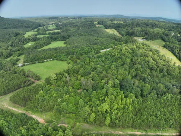 a view of a green field with lots of bushes