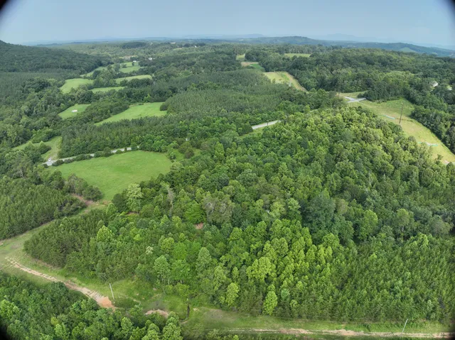 a view of a green field with lots of bushes
