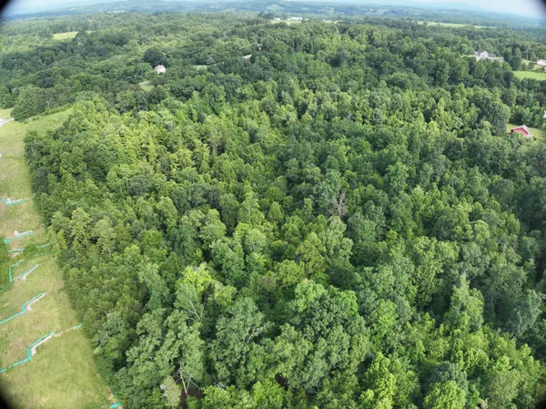 an aerial view of residential house with outdoor space and trees all around