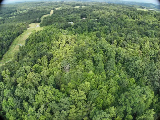 an aerial view of residential house with outdoor space and trees all around