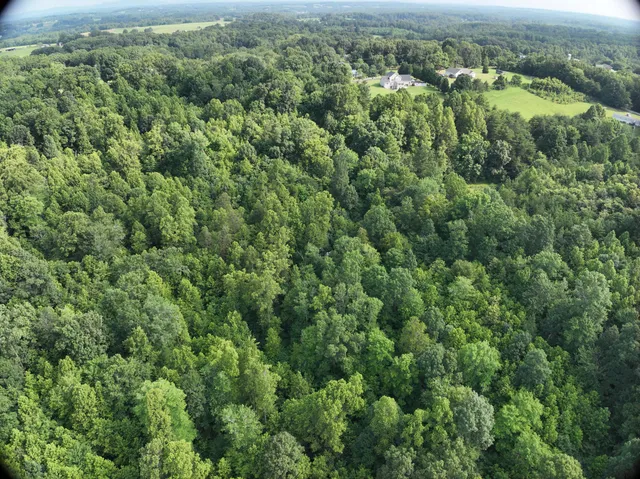 an aerial view of residential houses with outdoor space and trees