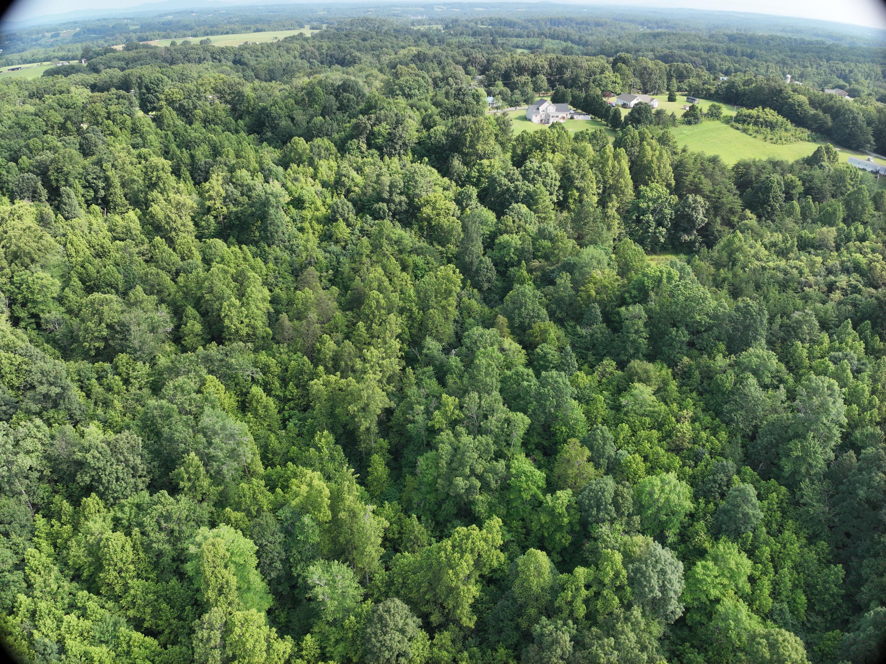 0 Jacks Creek Road Union Hall, VA 24176 - Photo 10 of 21 DJI_20250709143705_0012_V