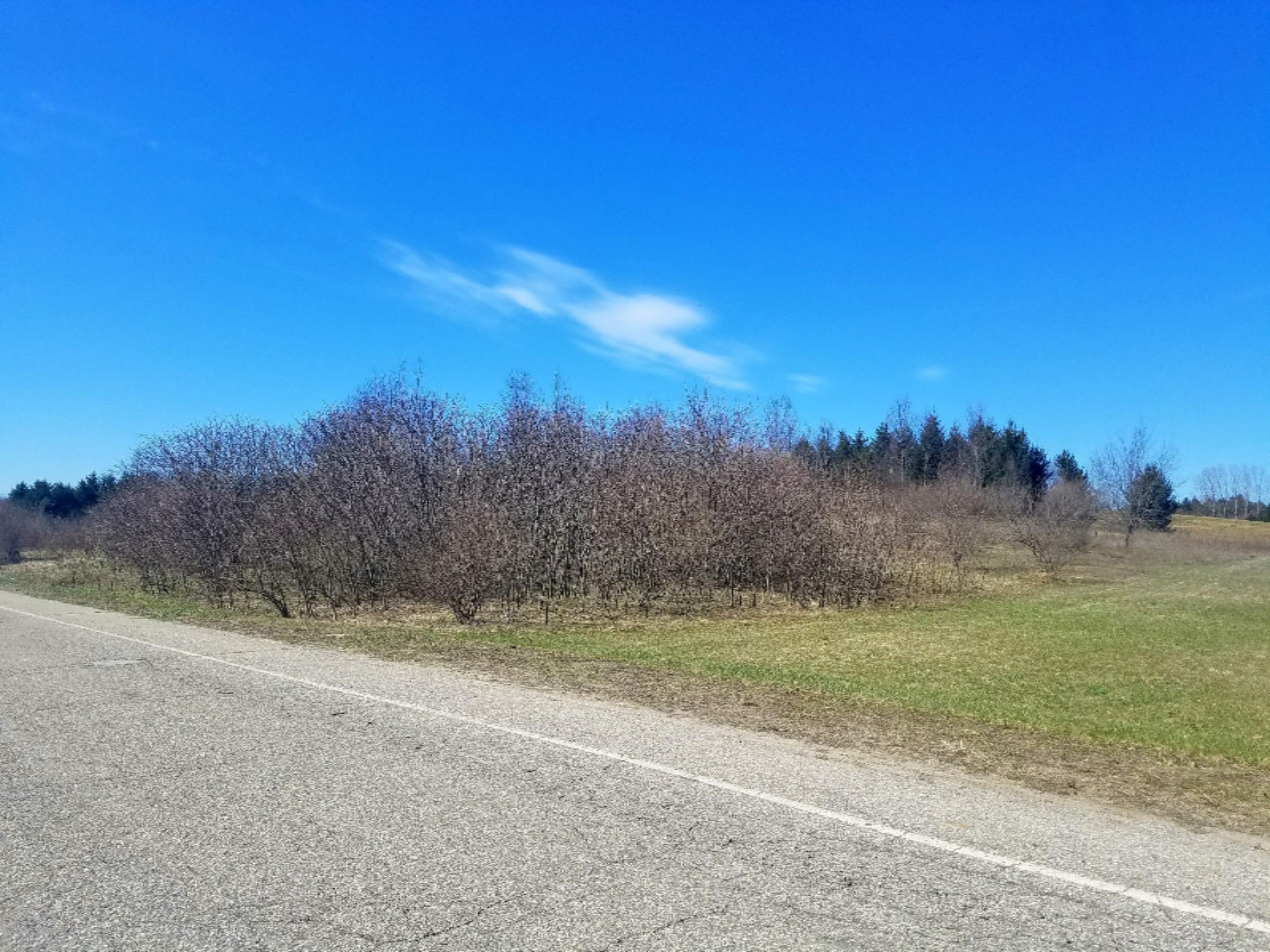 751 East Arthur Road Rothbury, MI 49452 - Photo 42 of 62 20180428_112926