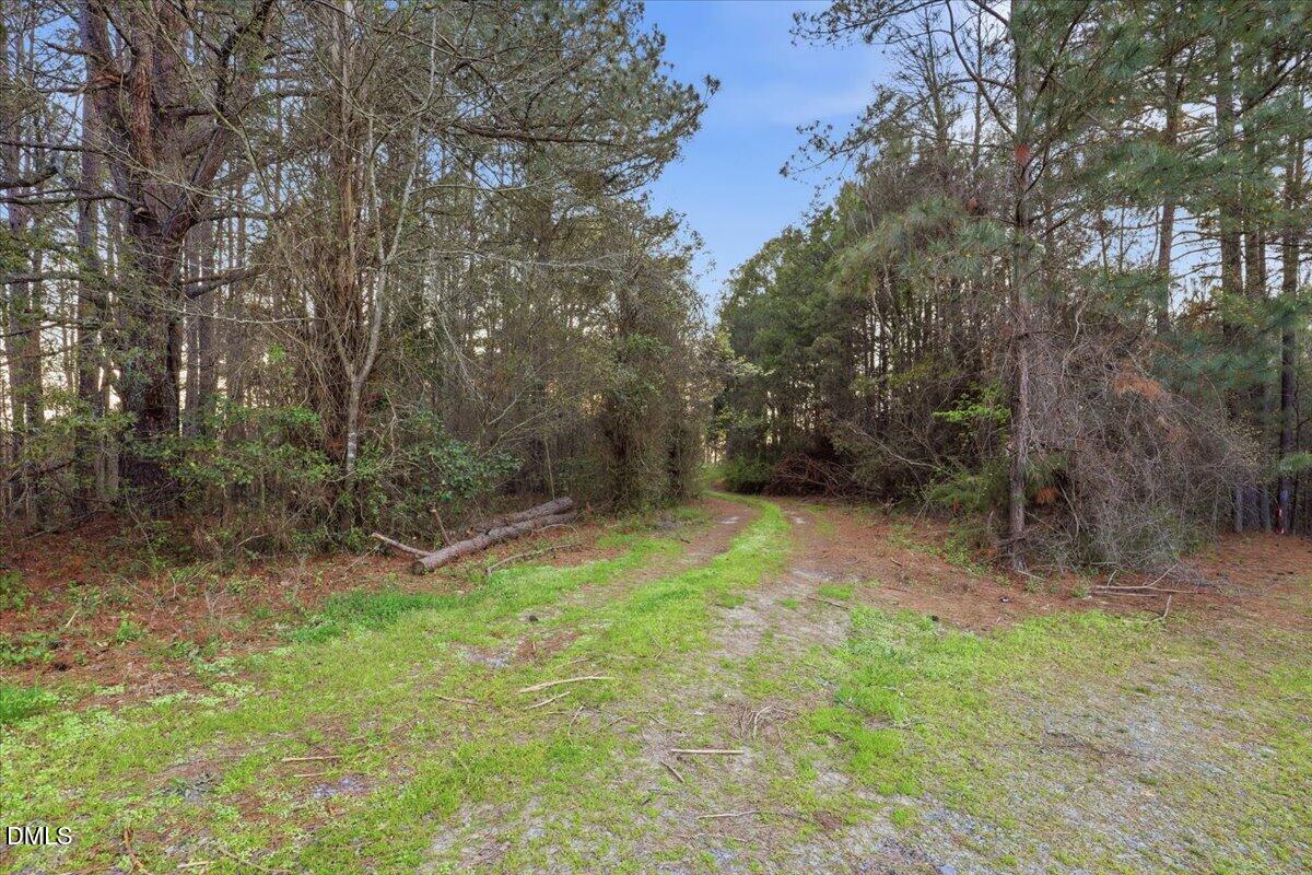 3157 Colon Road Sanford, NC 27330 - Photo 3 of 25 01-3157 Colon Rd-1
