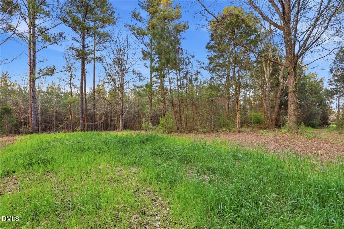 3157 Colon Road Sanford, NC 27330 - Photo 8 of 25 07-3157 Colon Rd-7