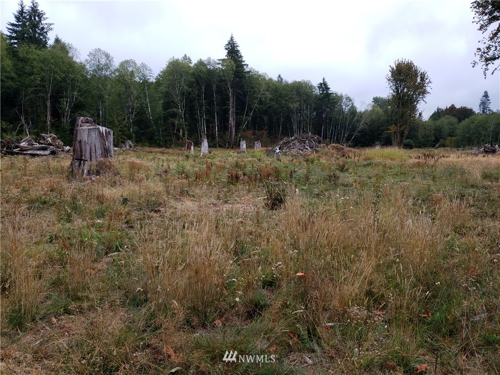 670 West Maple Rock Road Matlock, WA 98560 - Photo 2 of 3