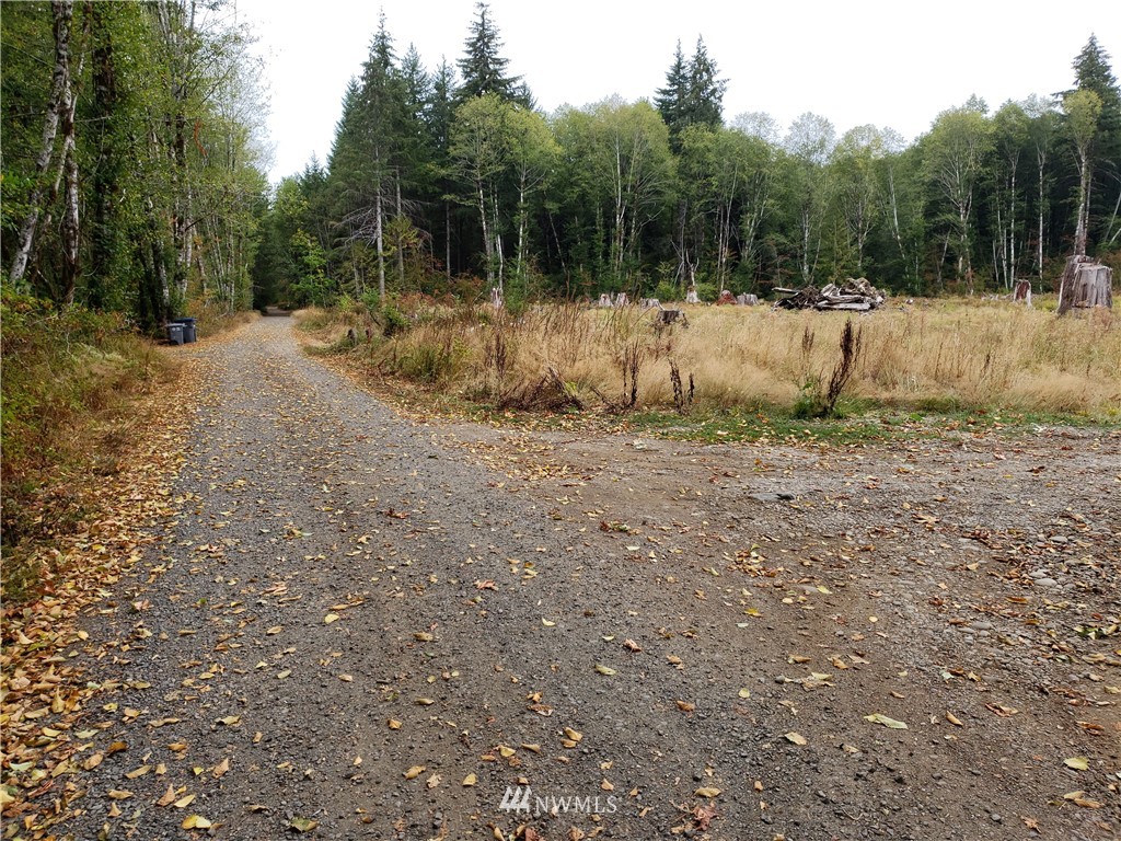 670 West Maple Rock Road Matlock, WA 98560 - Photo 3 of 3