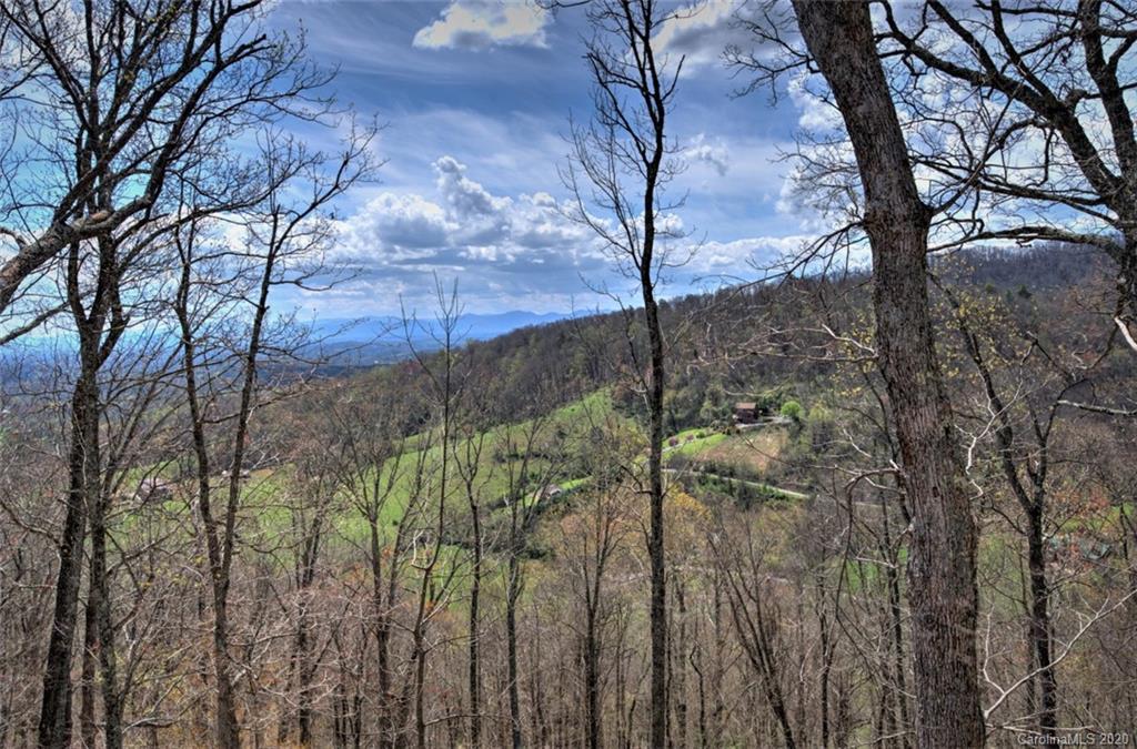 408 Rising Sun Road Mars Hill, NC 28754 - Photo 48 of 48 Gallery Image 48