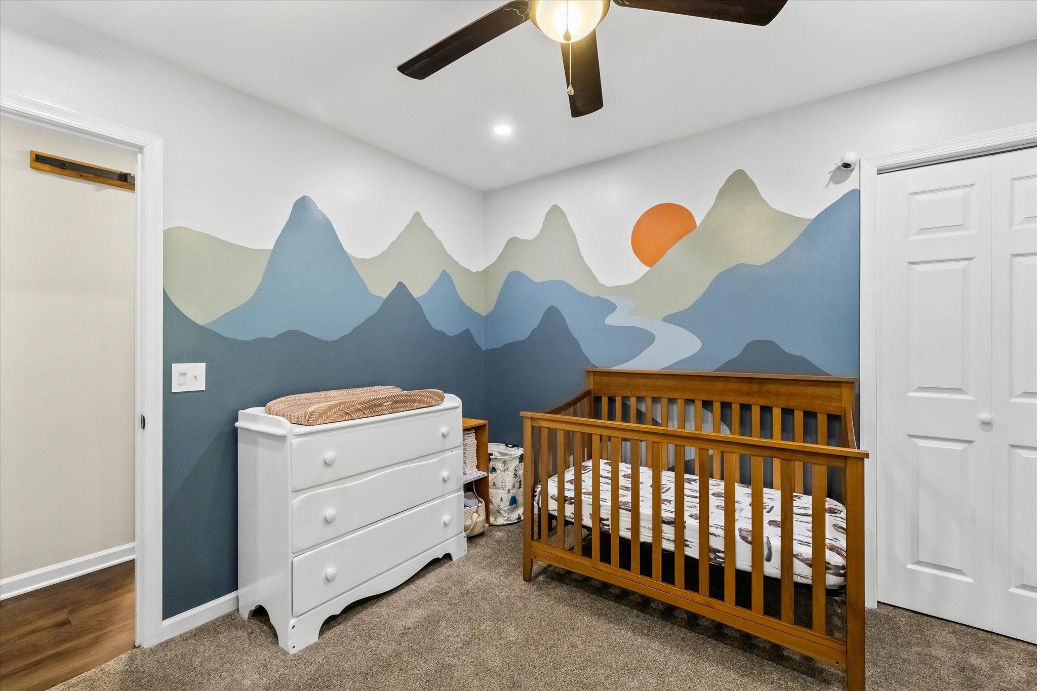 230 Richards Ferry Road Fredericksburg, VA 22406 - Photo 37 of 96 Whimsical nursery with mountain mural.